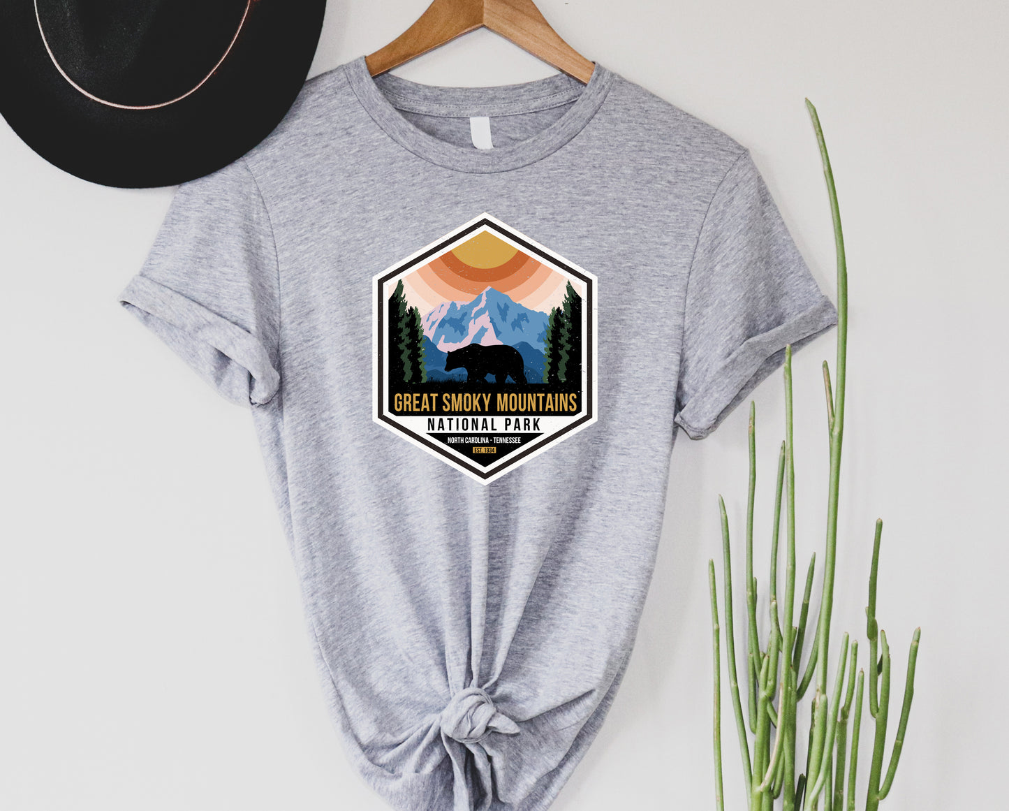 Great Smokey mountains